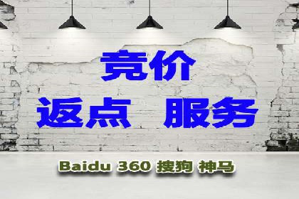 探索SEM代运营公司的经典案例与策略